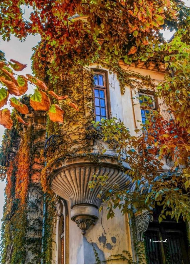 Charming Place Cotroceni Bucharest Luaran gambar