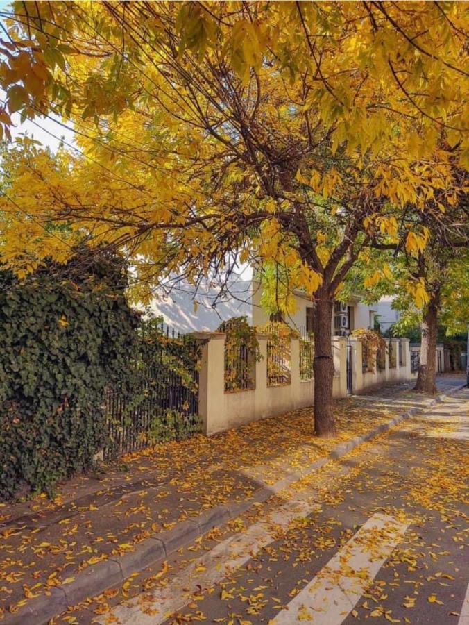Charming Place Cotroceni Bucharest Luaran gambar